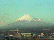 富士市からの富士